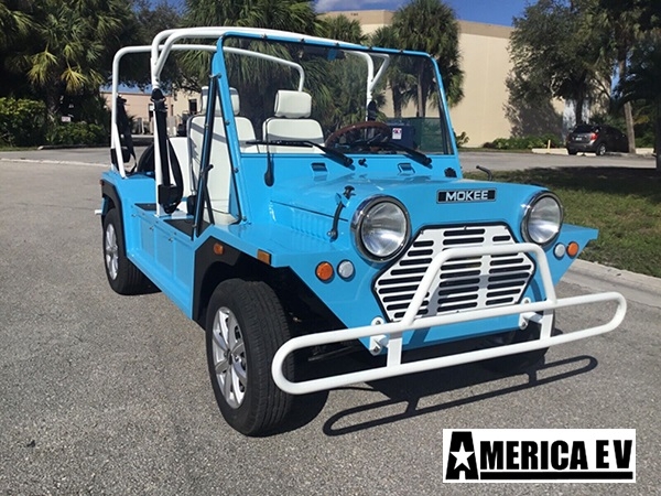 Blue Mokee 4 Passenger Golf Cart affordable golf cart rental, golf cart rent irving golf cart rental