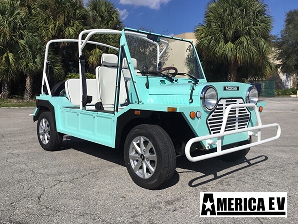 Mint Mokee 4 Passenger Golf Cart affordable golf cart rental, golf cart rent irving golf cart rental